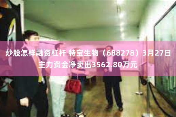 炒股怎样融资杠杆 特宝生物（688278）3月27日主力资金净卖出3562.80万元
