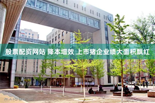 股票配资网站 降本增效 上市猪企业绩大面积飘红