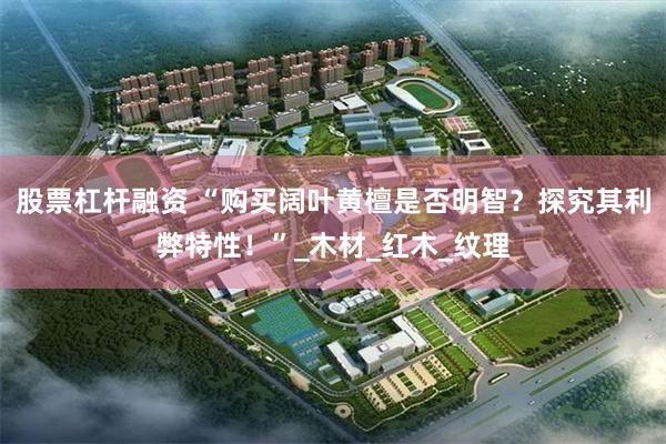 股票杠杆融资 “购买阔叶黄檀是否明智？探究其利弊特性！”_木材_红木_纹理