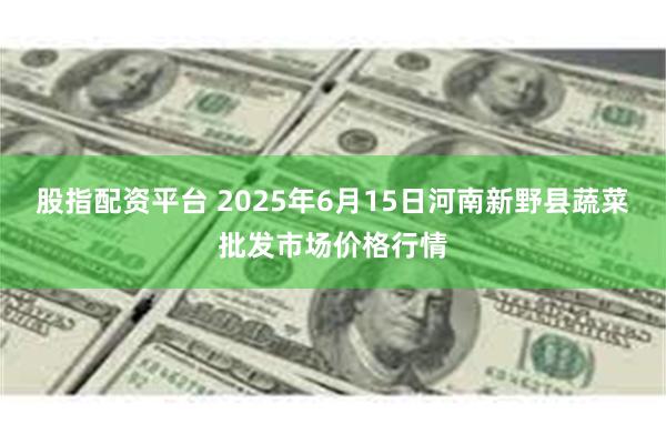 股指配资平台 2025年6月15日河南新野县蔬菜批发市场价格行情